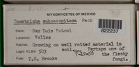Image Associated With the Occurence